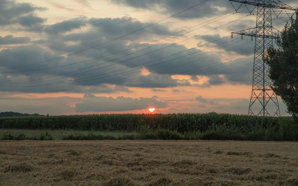 bright sunset summer field with hay clouds