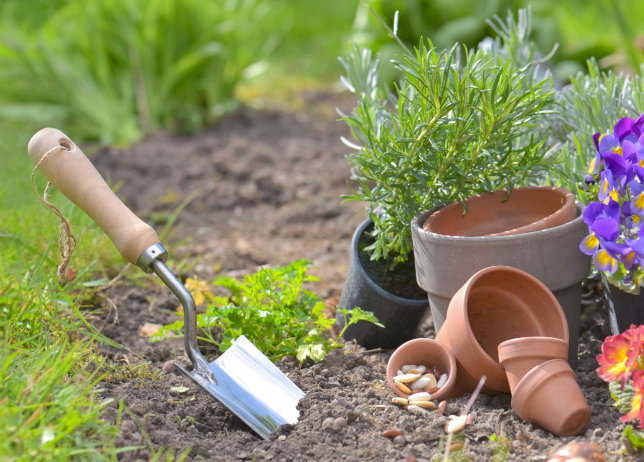 shovel planted soil garden flowerpots