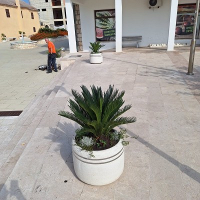 IMG-20261019-WA0013